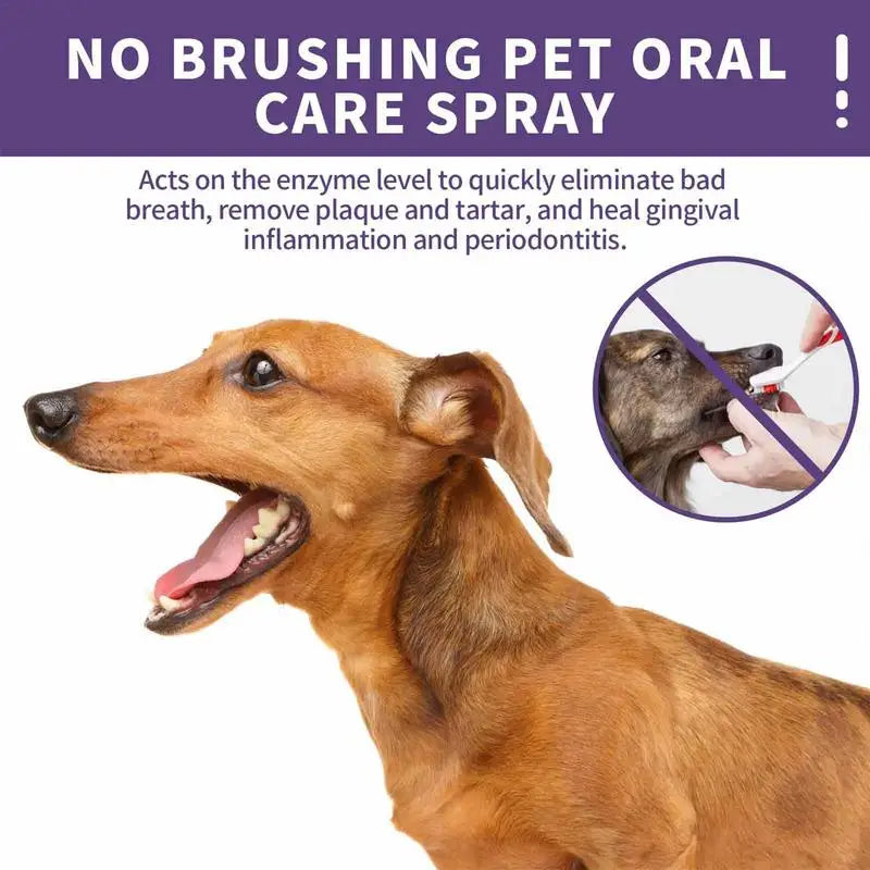 Teeth & Breath Care Pet Spray: Cleans teeth and freshens breath for pets