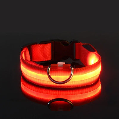 LED Nylon Dog Collar: Glow-in-the-Dark Safety Collar for Night Walks - CompulShop