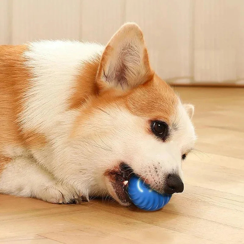 PawBounce Pro: Interactive Smart Pet Ball - CompulShop