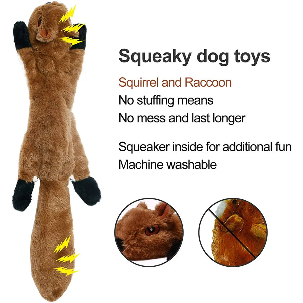 Squeaky Dog Toy: Durable Stuffing-Free Chew Companion for Pets - CompulShop