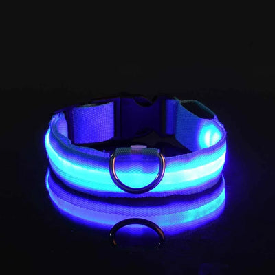 LED Nylon Dog Collar: Glow-in-the-Dark Safety Collar for Night Walks - CompulShop