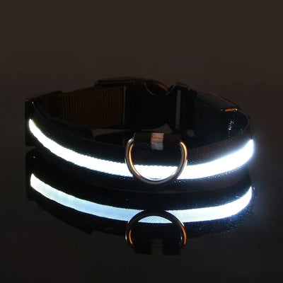 LED Nylon Dog Collar: Glow-in-the-Dark Safety Collar for Night Walks - CompulShop