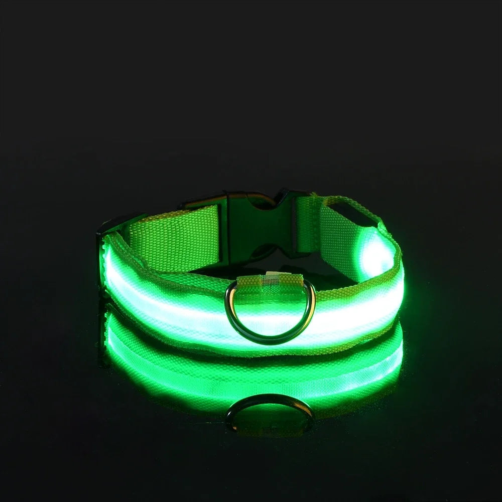 LED Nylon Dog Collar: Glow-in-the-Dark Safety Collar for Night Walks - CompulShop