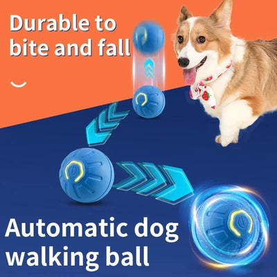 PawBounce Pro: Interactive Smart Pet Ball - CompulShop