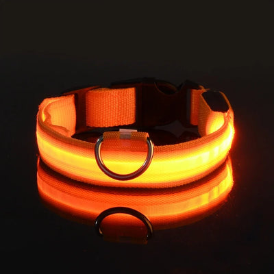 LED Nylon Dog Collar: Glow-in-the-Dark Safety Collar for Night Walks - CompulShop