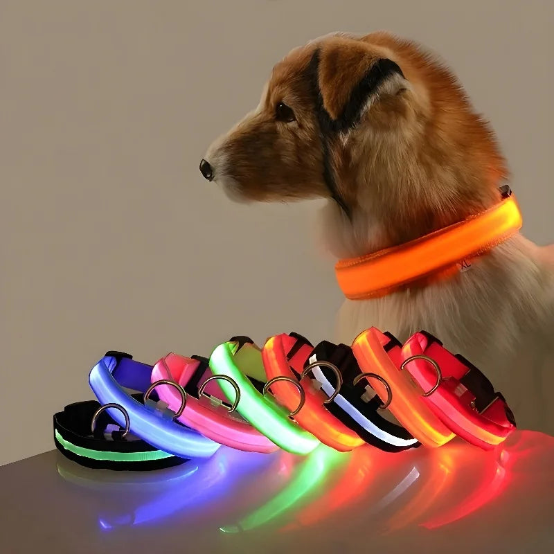 LED Nylon Dog Collar: Glow-in-the-Dark Safety Collar for Night Walks - CompulShop