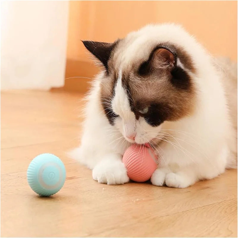 PawBounce Pro: Interactive Smart Pet Ball - CompulShop