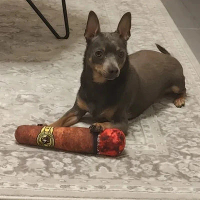 TuffBite Cigar: Indestructible Chew & Squeak Toy For Dogs - CompulShop