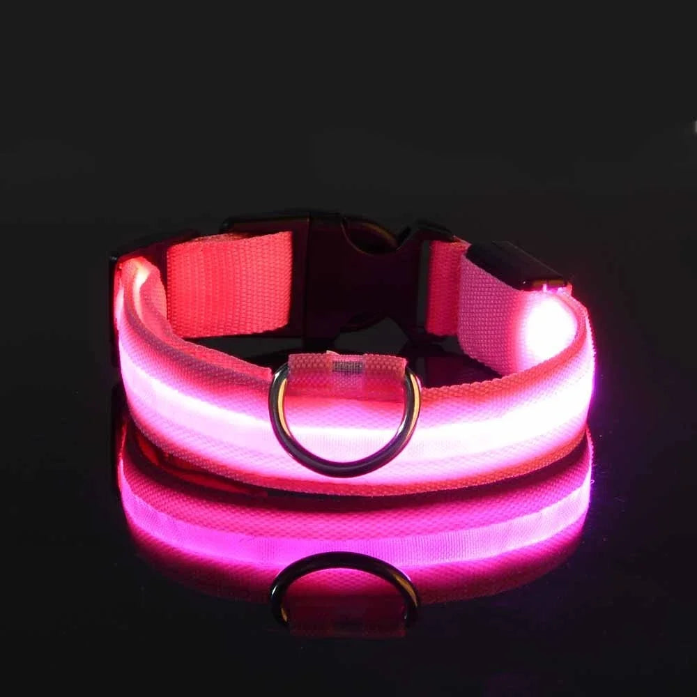 LED Nylon Dog Collar: Glow-in-the-Dark Safety Collar for Night Walks - CompulShop