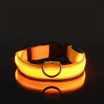 LED Nylon Dog Collar: Glow-in-the-Dark Safety Collar for Night Walks - CompulShop